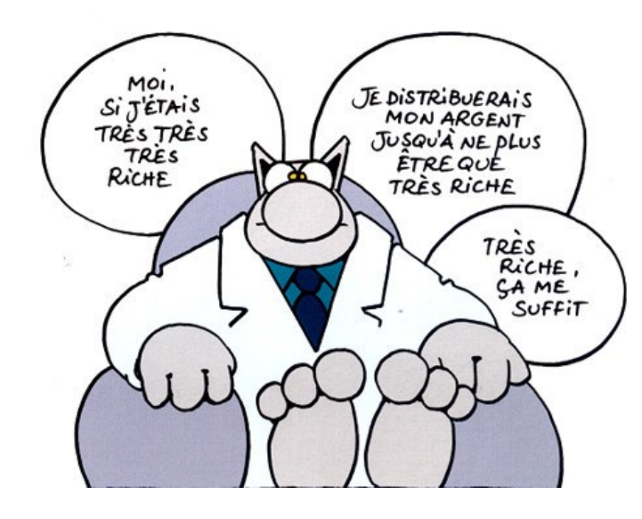 Chat philosophe sur les phrases hypothétiques